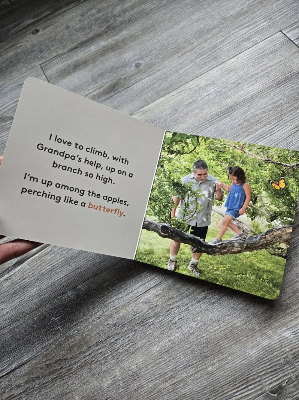 My Favorite Nature Buddy Board Book Lovevery